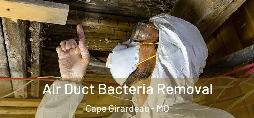 Air Duct Bacteria Removal Cape Girardeau - MO