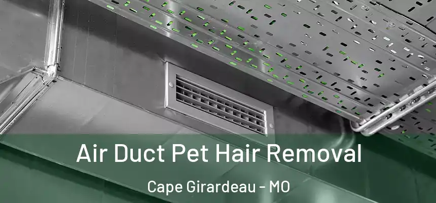  Air Duct Pet Hair Removal Cape Girardeau - MO