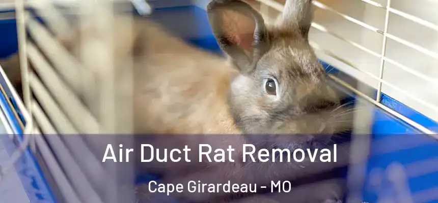  Air Duct Rat Removal Cape Girardeau - MO