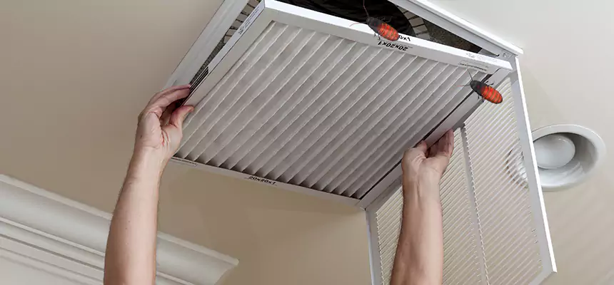 Preventive Cockroach-Proofing for Ducts in Cape Girardeau