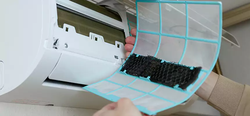 Gentle Ductwork Odor-Control Pet Dander Duct Cleaning in Cape Girardeau, MO