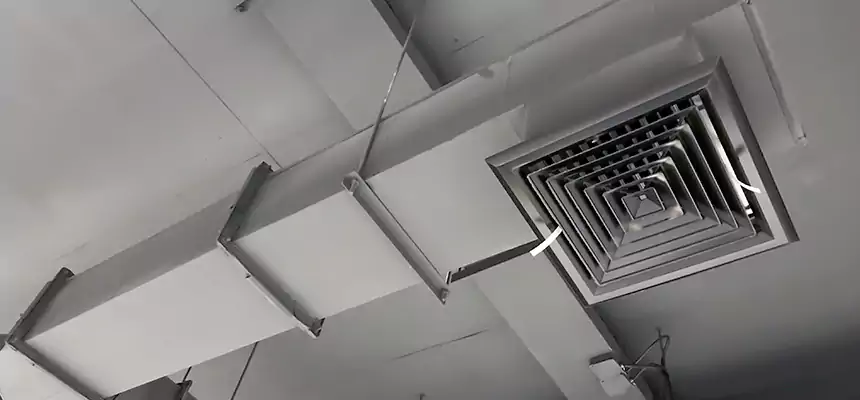 Our Rodent Droppings In Vents Services in Cape Girardeau, MO