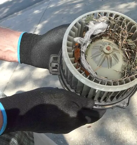 About Air Duct Mice Removal in Cape Girardeau, MO