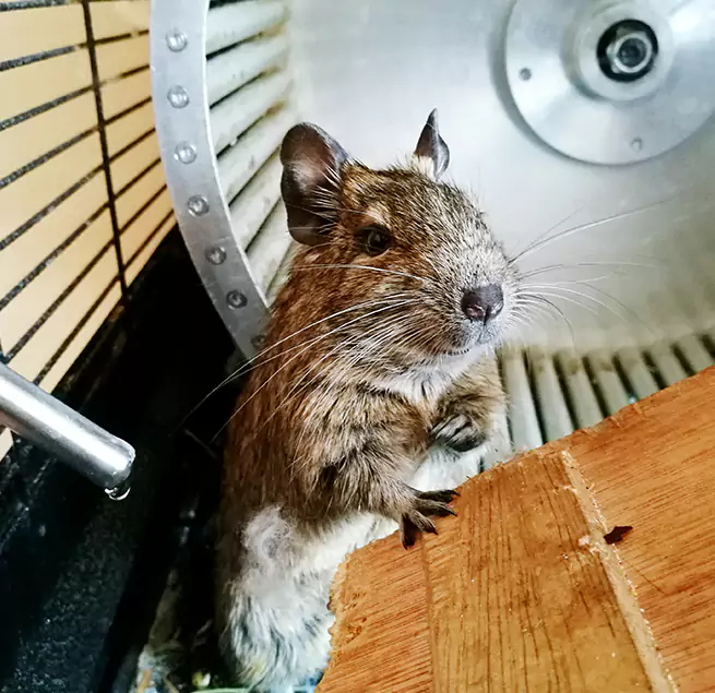 Why Homeowners & Businesses Trust Us Cape Girardeau, MO