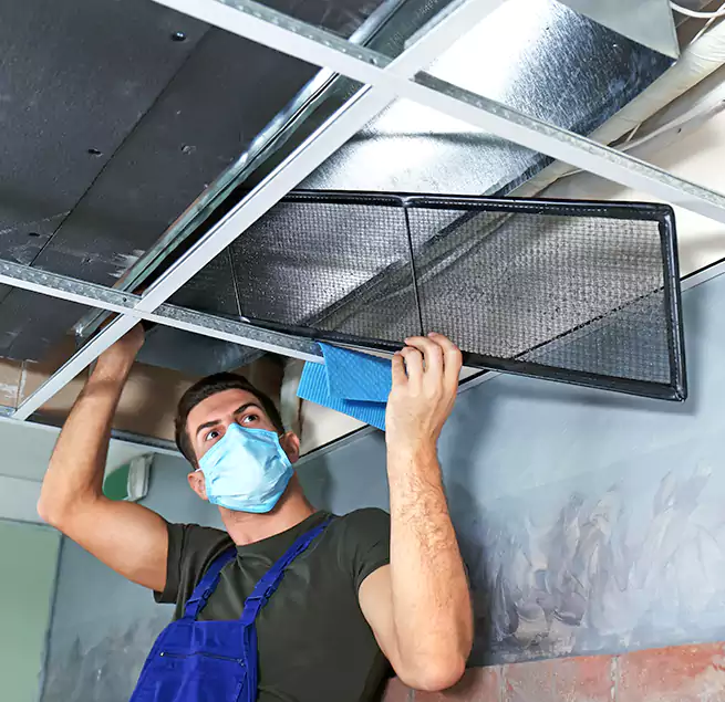 Why Homeowners Businesses Trust Us in Cape Girardeau, MO