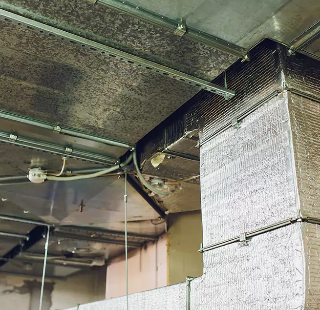 Why Homeowners & Businesses Trust Us in Cape Girardeau, MO?